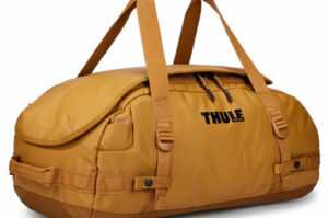 Thule reistas | Chasm | 40L | golden