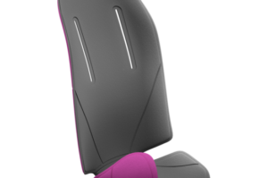 Thule RideAlong padding